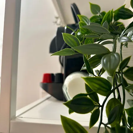 Cozy Centre * 布达佩斯